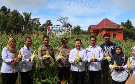PANEN RAYA JAGUNG SERENTAK TAHAP I DALAM RANGKA SWASEMBADA PANGAN TAHUN 2025 DI DESA AIR PUTIH KEC. MENTOK

