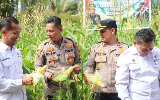 PANEN RAYA JAGUNG SERENTAK TAHAP I DALAM RANGKA SWASEMBADA PANGAN TAHUN 2025 DI DESA AIR PUTIH KEC. MENTOK
